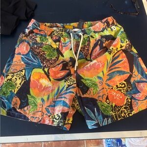 Polo by Ralph Lauren Colorful Swim Trunks
